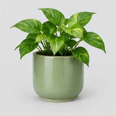 Ceramic Planter