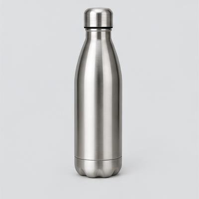 Insulated Water Bottle